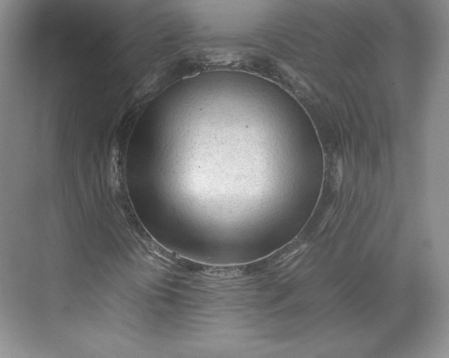 X0000074931394200609221627