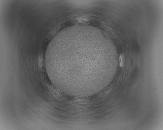 X0000074931395200609221627