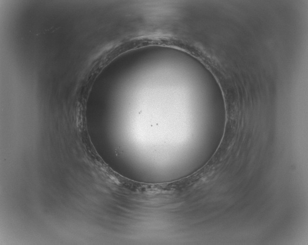 X0000074931398200609221627