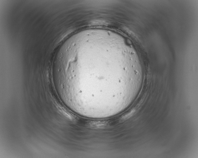 X0000074931401200609221627