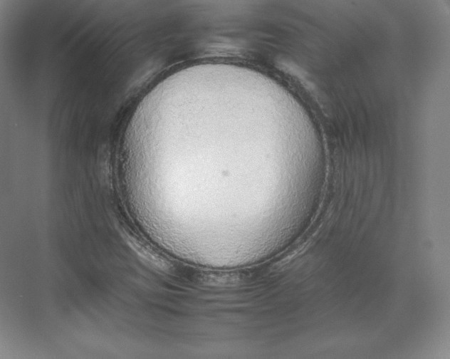 X0000074931403200609221627