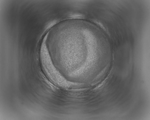 X0000074931405200609221627