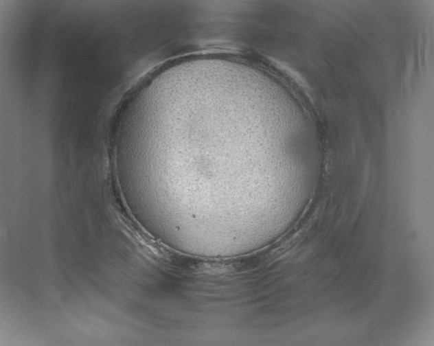 X0000074931407200609221627