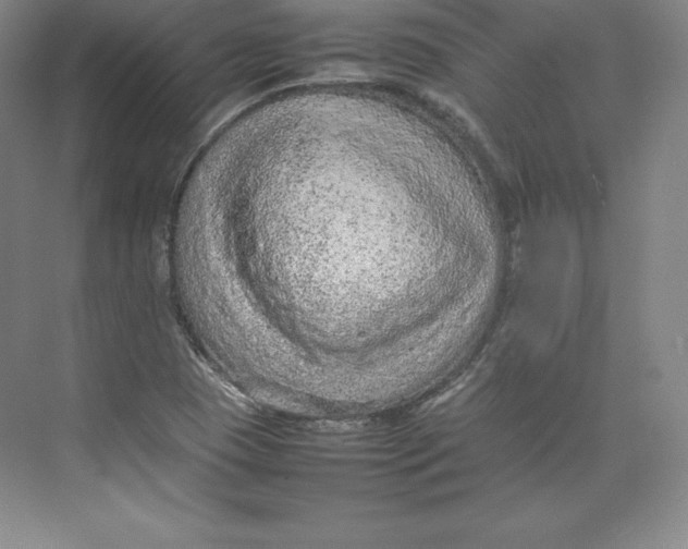 X0000074931409200609221627