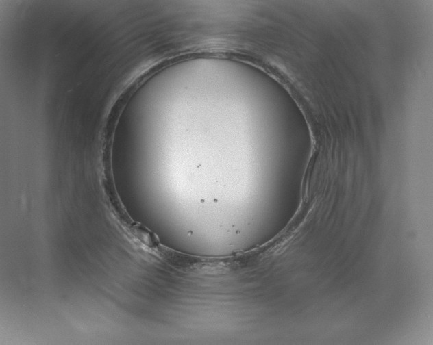 X0000074931410200609221627