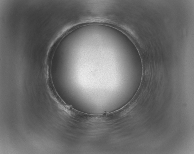 X0000074931414200609221627