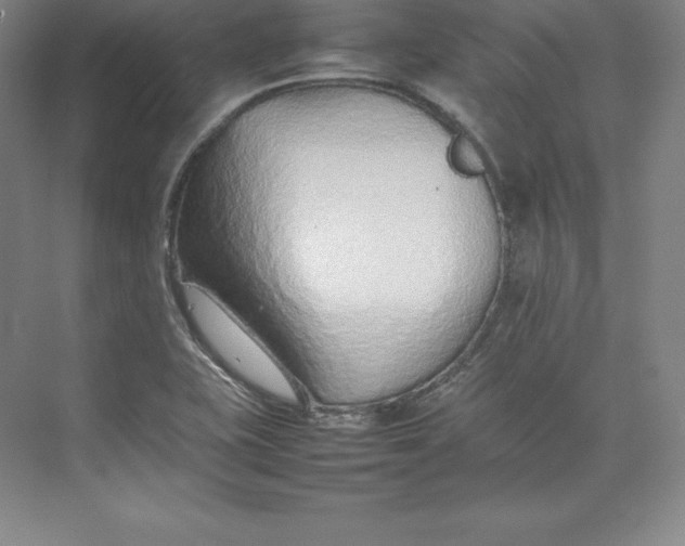 X0000074931415200609221627