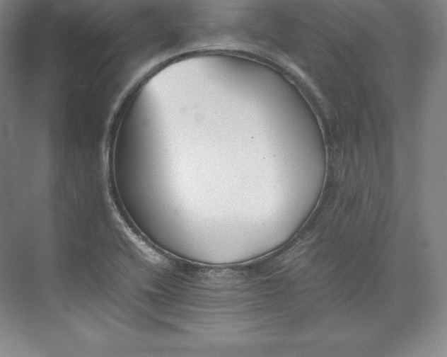 X0000074931416200609221627