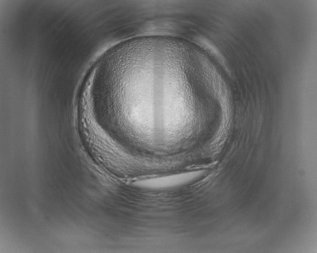 X0000074931419200609221627