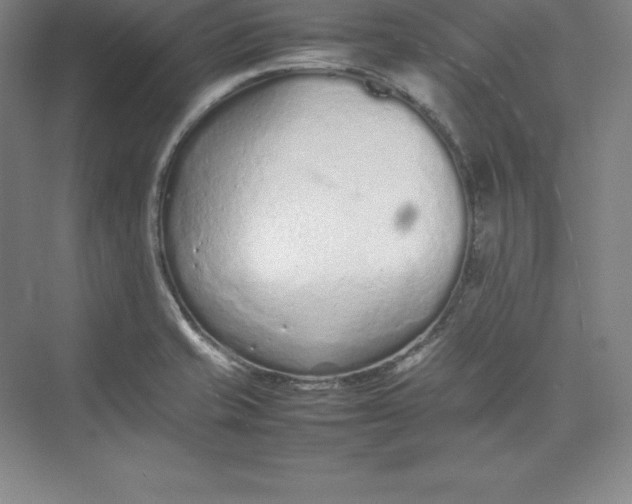 X0000074931421200609221627