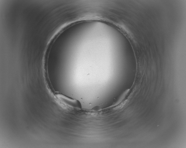 X0000074931422200609221627