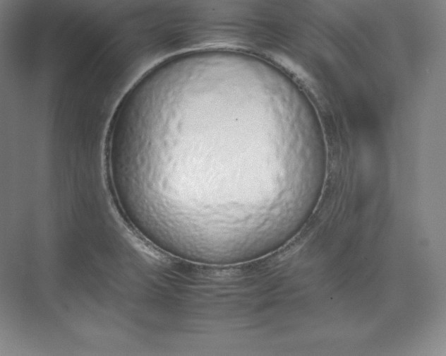 X0000074931423200609221627