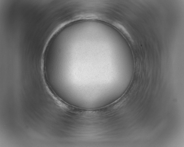 X0000074931424200609221627