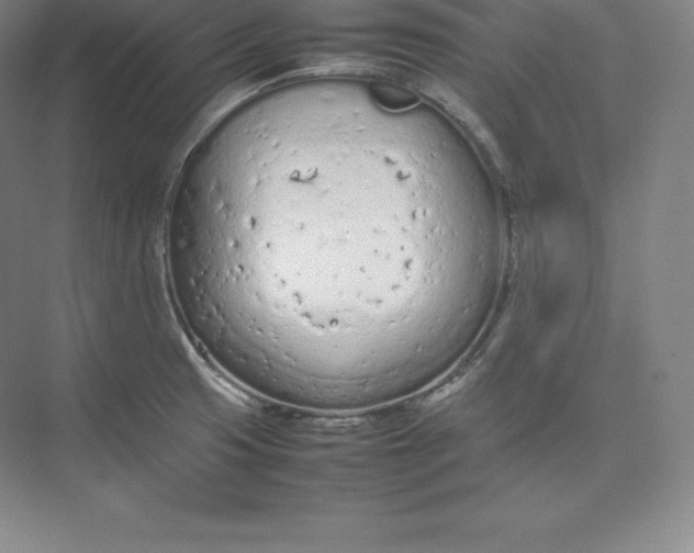 X0000074931425200609221627