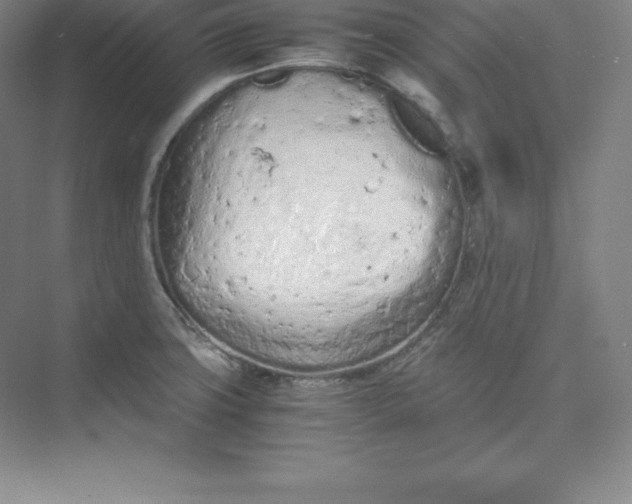 X0000074931427200609221627