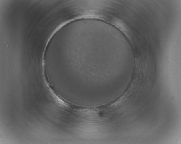 X0000074931428200609221627