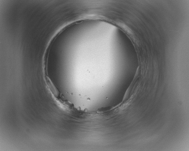 X0000074931430200609221627