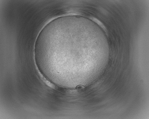 X0000074931431200609221627