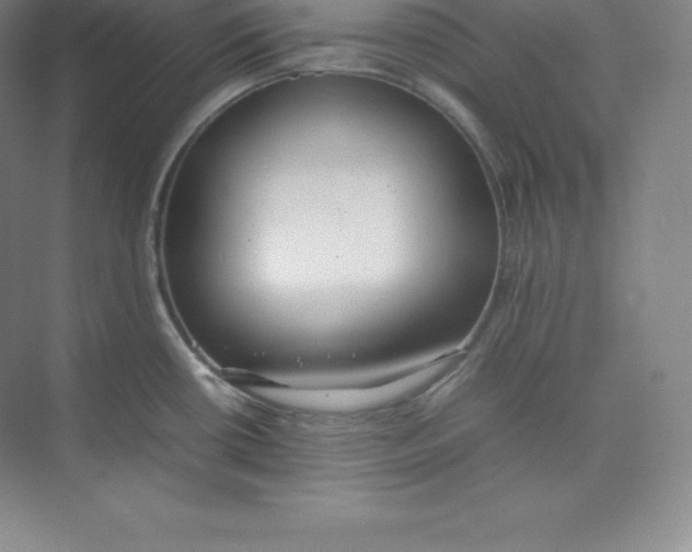 X0000074931434200609221627