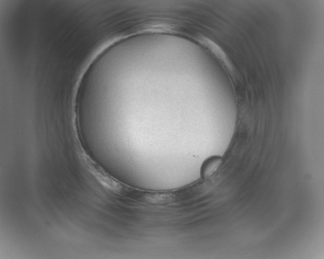 X0000074931435200609221627