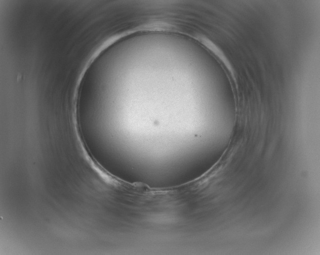 X0000074931437200609221627