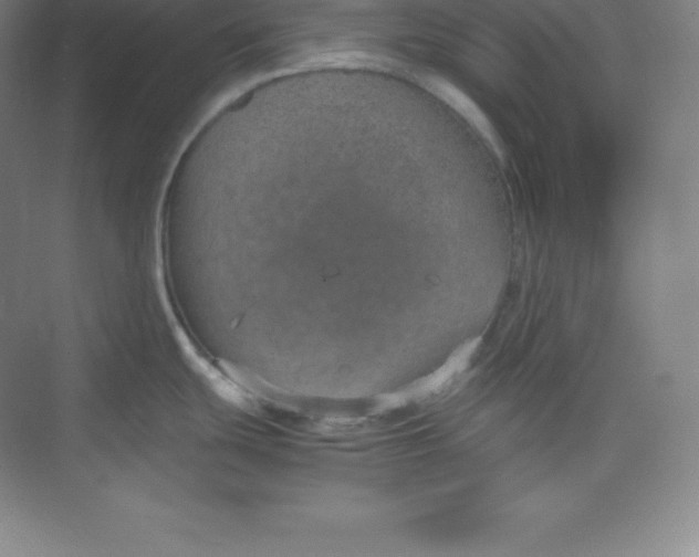 X0000074931439200609221627