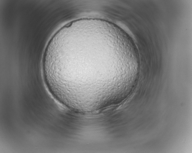 X0000074931440200609221627