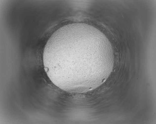 X0000074931446200609221626