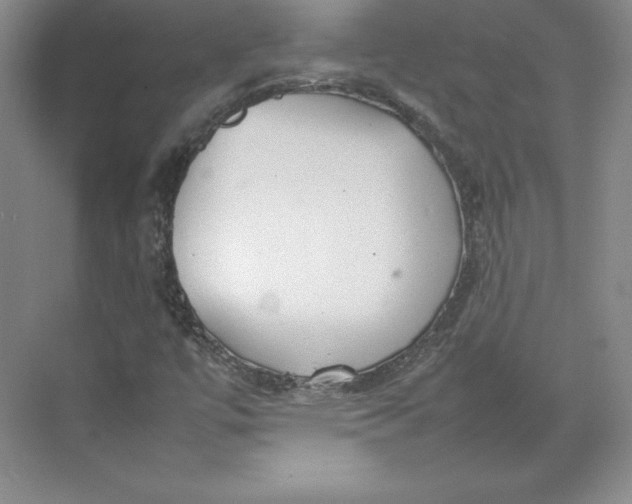 X0000074931447200609221626