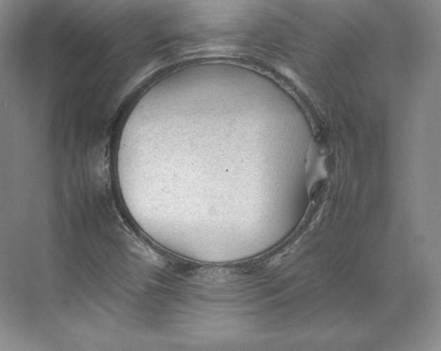 X0000074931450200609221626