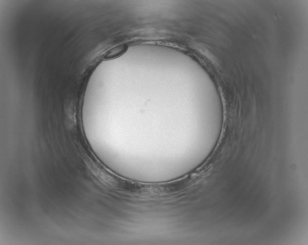 X0000074931451200609221626