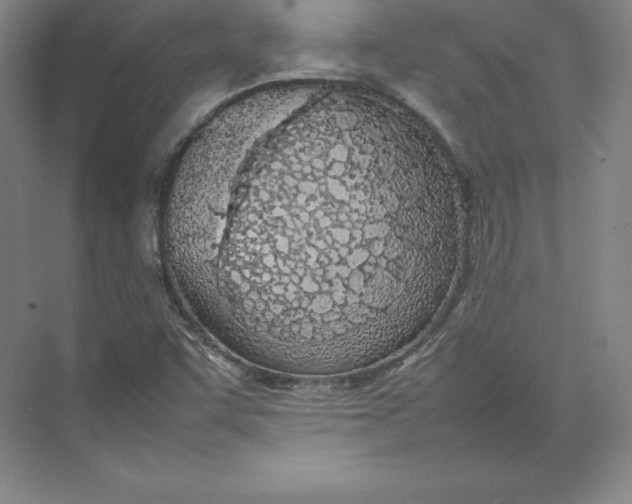 X0000074931455200609221626