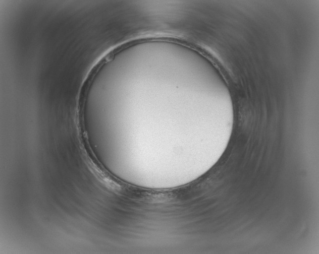 X0000074931460200609221626