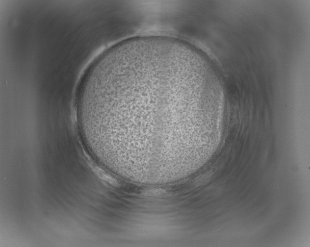 X0000074931462200609221626