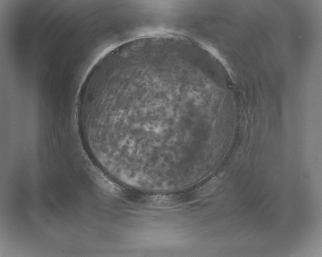 X0000074931463200609221626