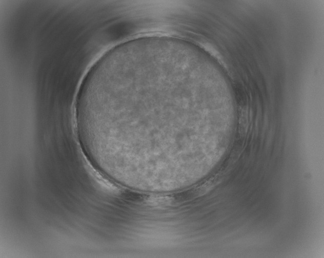 X0000074931466200609221626