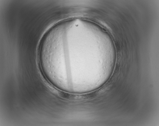 X0000074931467200609221626