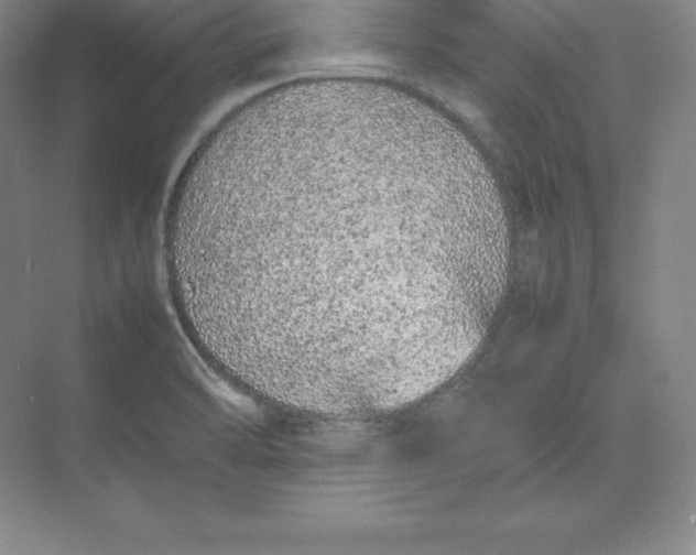 X0000074931470200609221626