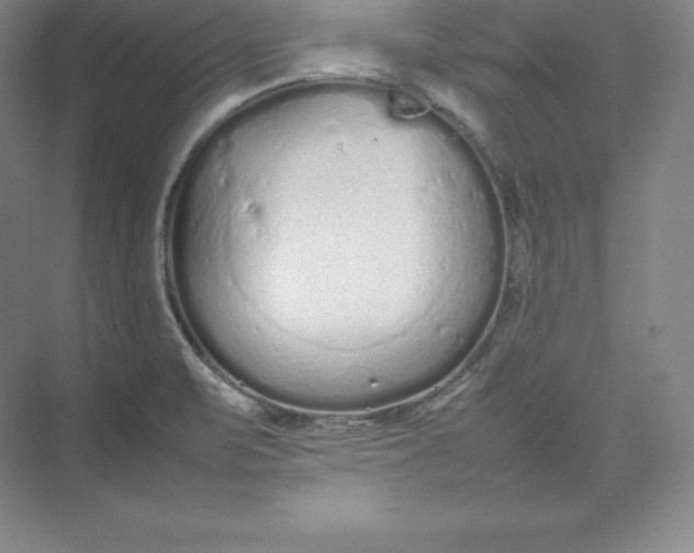 X0000074931471200609221626