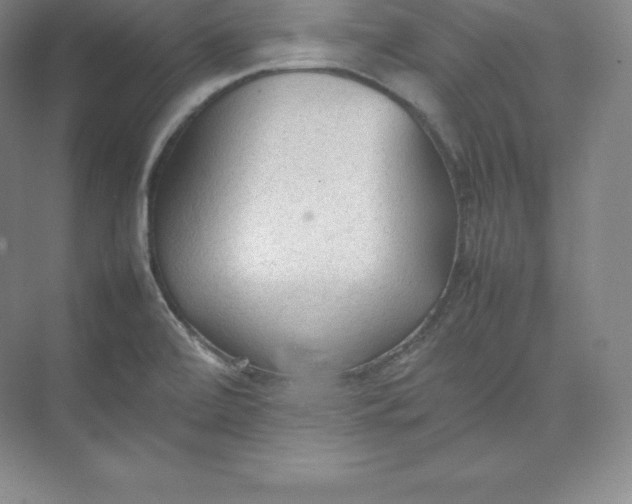 X0000074931472200609221626