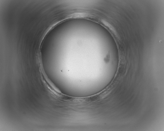 X0000074931473200609221626