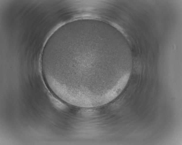 X0000074931474200609221626