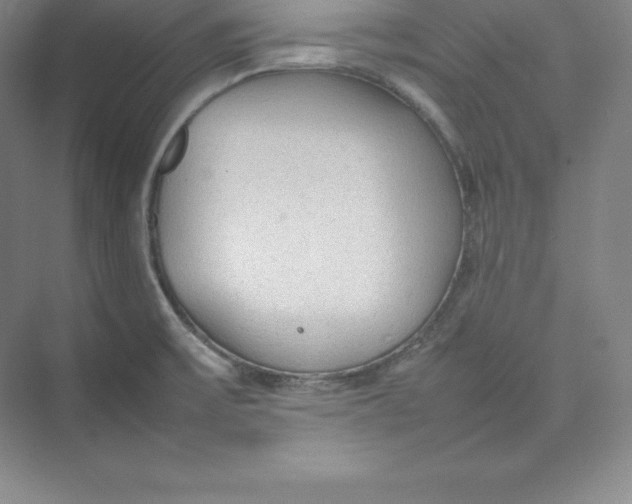 X0000074931475200609221626