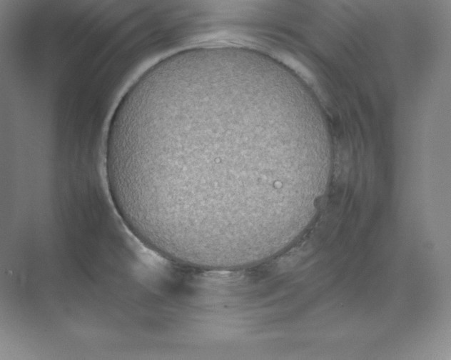 X0000074931478200609221626