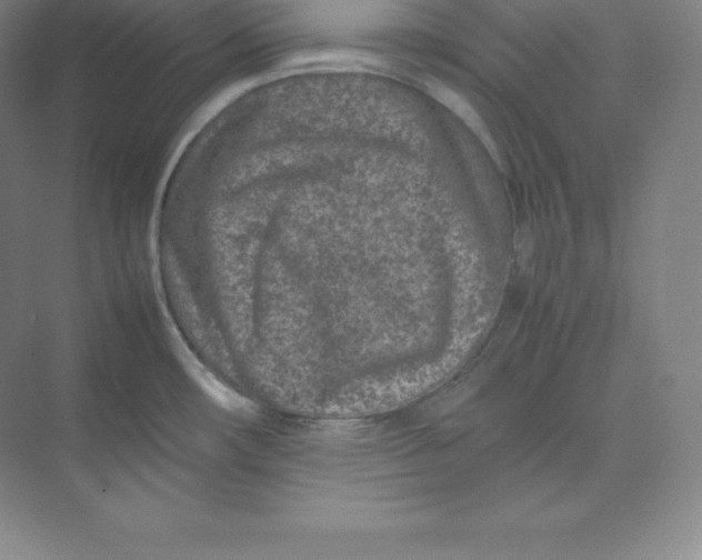 X0000074931482200609221626