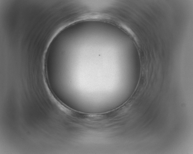 X0000074931483200609221626