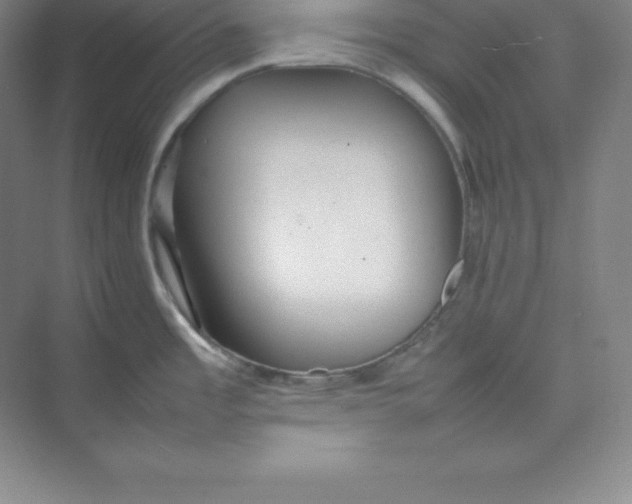 X0000074931485200609221626