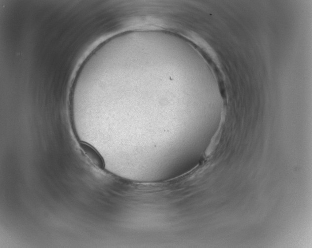 X0000074931488200609221626