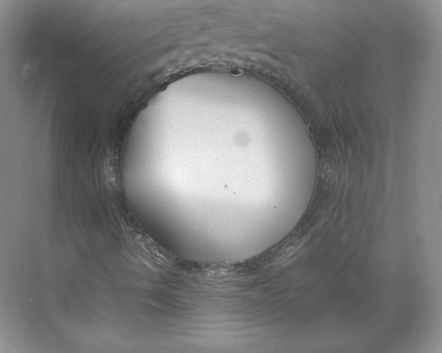 X0000074931490200609221625