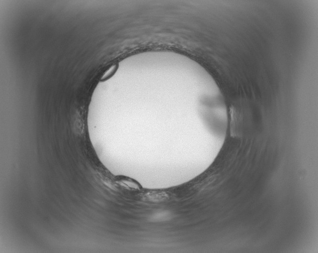 X0000074931491200609221625